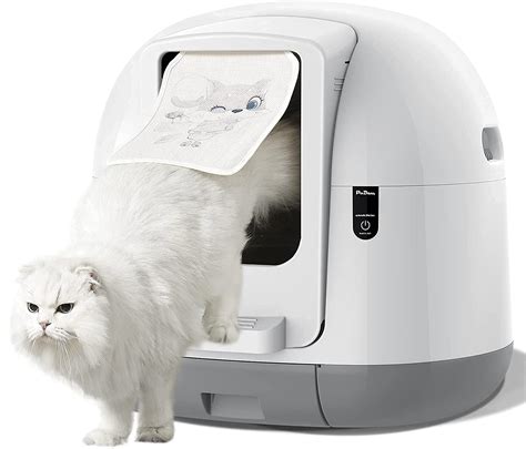 best electric litter box for multiple cats|inexpensive self cleaning litter box.